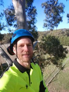 melbourne arborist climber