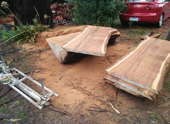 timber slab milling english elm